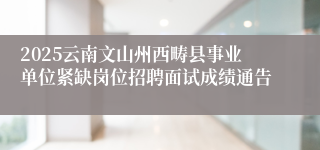 2025云南文山州西畴县事业单位紧缺岗位招聘面试成绩通告