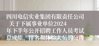 四川电信实业集团有限责任公司  关于下属事业单位2024年下半年公开招聘工作人员考试总成绩、排名和体检人员的公告