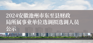 2024安徽池州市东至县财政局所属事业单位选调拟选调人员公示