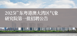 2025广东粤港澳大湾区气象研究院第一批招聘公告