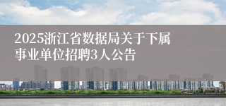 2025浙江省数据局关于下属事业单位招聘3人公告