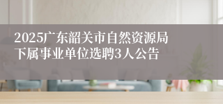 2025广东韶关市自然资源局下属事业单位选聘3人公告