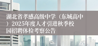 湖北省孝感高级中学（东城高中）2025年度人才引进秋季校园招聘体检考察公告