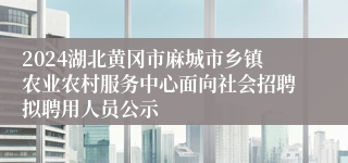 2024湖北黄冈市麻城市乡镇农业农村服务中心面向社会招聘拟聘用人员公示