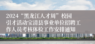 2024“黑龙江人才周”校园引才活动宝清县事业单位招聘工作人员考核体检工作安排通知