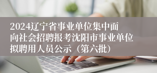 2024辽宁省事业单位集中面向社会招聘报考沈阳市事业单位拟聘用人员公示（第六批）