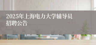 2025年上海电力大学辅导员招聘公告