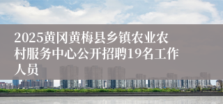 2025黄冈黄梅县乡镇农业农村服务中心公开招聘19名工作人员