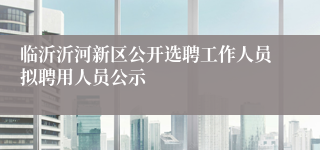 临沂沂河新区公开选聘工作人员拟聘用人员公示