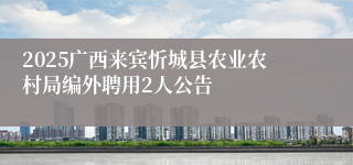 2025广西来宾忻城县农业农村局编外聘用2人公告