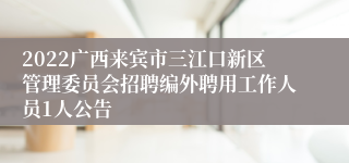 2022广西来宾市三江口新区管理委员会招聘编外聘用工作人员1人公告