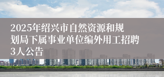 2025年绍兴市自然资源和规划局下属事业单位编外用工招聘3人公告