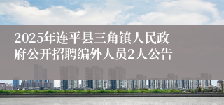 2025年连平县三角镇人民政府公开招聘编外人员2人公告