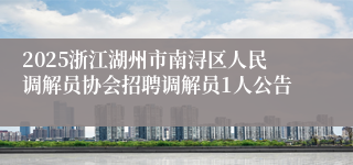 2025浙江湖州市南浔区人民调解员协会招聘调解员1人公告