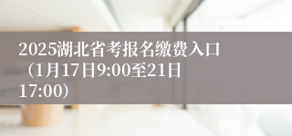 2025湖北省考报名缴费入口（1月17日9:00至21日17:00）