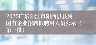 2025广东阳江市阳西县县属国有企业招聘拟聘用人员公示（第三批）