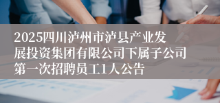 2025四川泸州市泸县产业发展投资集团有限公司下属子公司第一次招聘员工1人公告