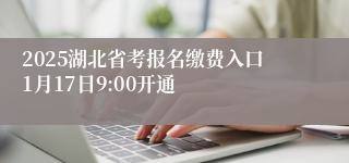 2025湖北省考报名缴费入口1月17日9:00开通