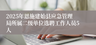 2025年恩施建始县应急管理局所属二级单位选聘工作人员5人