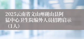 2025云南省文山州砚山县阿猛中心卫生院编外人员招聘启示（1人）