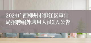 2024广西柳州市柳江区审计局招聘编外聘用人员2人公告