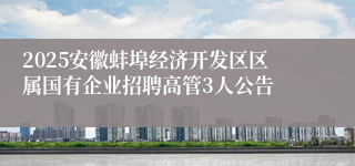 2025安徽蚌埠经济开发区区属国有企业招聘高管3人公告