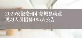 2025安徽毫州市蒙城县就业见习人员招募485人公告