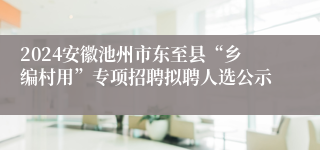 2024安徽池州市东至县“乡编村用”专项招聘拟聘人选公示