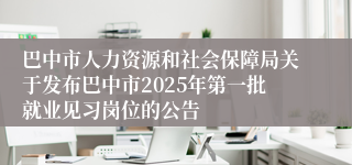 巴中市人力资源和社会保障局关于发布巴中市2025年第一批就业见习岗位的公告