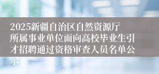 2025新疆自治区自然资源厅所属事业单位面向高校毕业生引才招聘通过资格审查人员名单公示