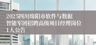2025四川绵阳市软件与数据智能军团招聘高级项目经理岗位1人公告