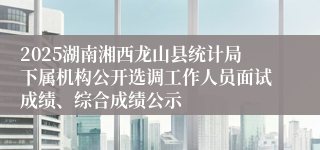 2025湖南湘西龙山县统计局下属机构公开选调工作人员面试成绩、综合成绩公示