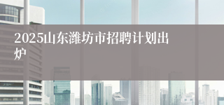 2025山东潍坊市招聘计划出炉