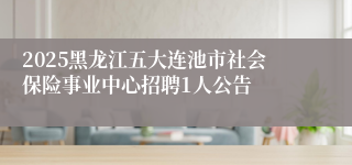 2025黑龙江五大连池市社会保险事业中心招聘1人公告