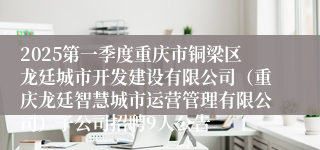 2025第一季度重庆市铜梁区龙廷城市开发建设有限公司（重庆龙廷智慧城市运营管理有限公司）子公司招聘9人公告