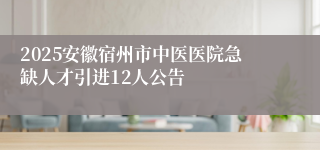 2025安徽宿州市中医医院急缺人才引进12人公告