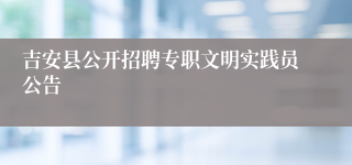 吉安县公开招聘专职文明实践员公告 