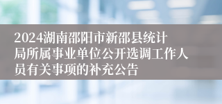 2024湖南邵阳市新邵县统计局所属事业单位公开选调工作人员有关事项的补充公告