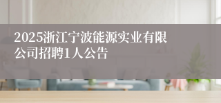 2025浙江宁波能源实业有限公司招聘1人公告
