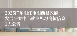 2025广东阳江市阳西县政府发展研究中心就业见习岗位信息1人公告