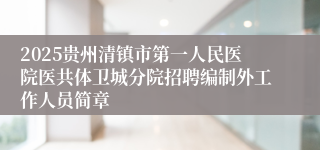 2025贵州清镇市第一人民医院医共体卫城分院招聘编制外工作人员简章