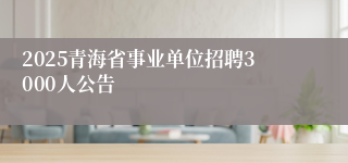 2025青海省事业单位招聘3000人公告