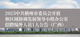 2025中共横州市委员会开放和区域协调发展领导小组办公室招聘编外人员1人公告（广西）