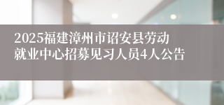 2025福建漳州市诏安县劳动就业中心招募见习人员4人公告