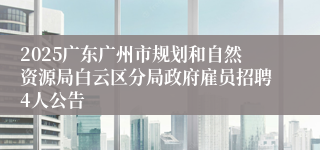 2025广东广州市规划和自然资源局白云区分局政府雇员招聘4人公告