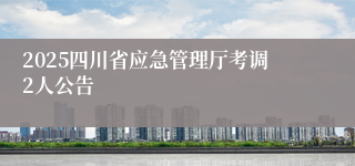 2025四川省应急管理厅考调2人公告