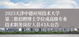 2025天津中德应用技术大学第二批招聘博士学位或高级专业技术职务岗位人员43人公告