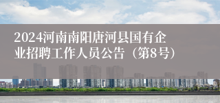 2024河南南阳唐河县国有企业招聘工作人员公告（第8号）