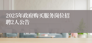 2025年政府购买服务岗位招聘2人公告