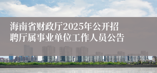 海南省财政厅2025年公开招聘厅属事业单位工作人员公告